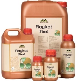 Райкат Финал