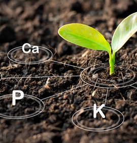 Органические удобрения