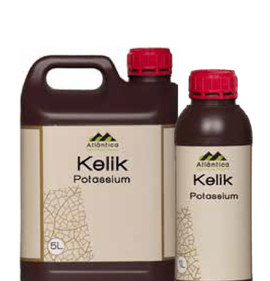 Келик Калий