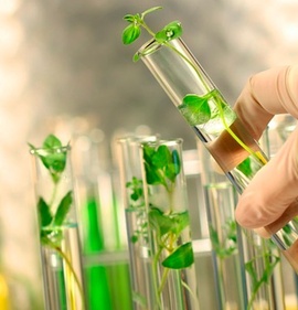 Биопрепараты