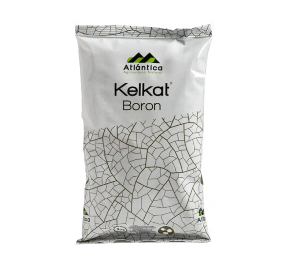 Келкат Бор, РП