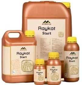 Райкат Всходы