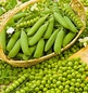 product-nav-img