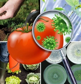 Средства защиты растений