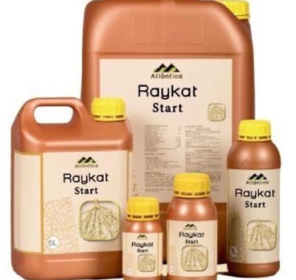 Райкат Всходы