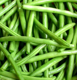Фасоль стручковая