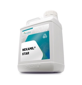 Некамил Стар