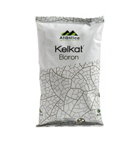 Келкат Бор, РП