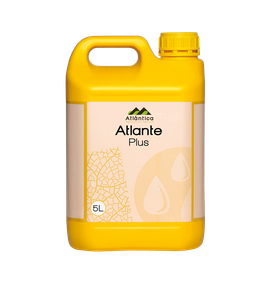 Атланте  Плюс 0-18-16