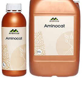 Аминокат 30%