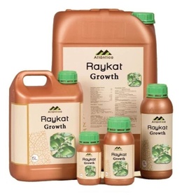 Райкат Развитие