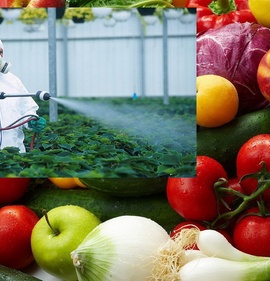 Моющие и дезинфицирующие средства