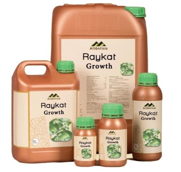 Райкат Развитие