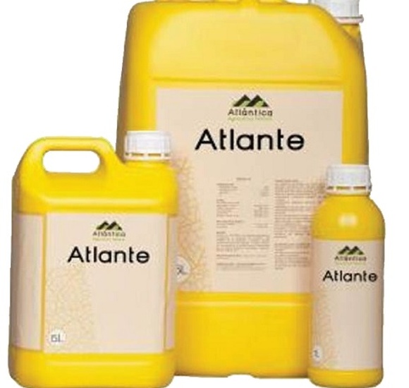 Атланте 0-30-20